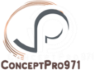 Conceptpro971 Chantal LUISSINT